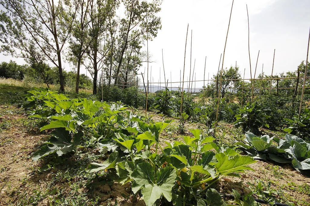 Tenuta La Santissima San Rocco a Pilli