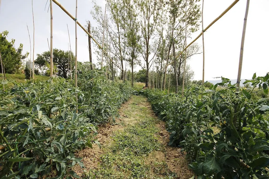 Bed & Breakfast Tenuta La Santissima San Rocco a Pilli
